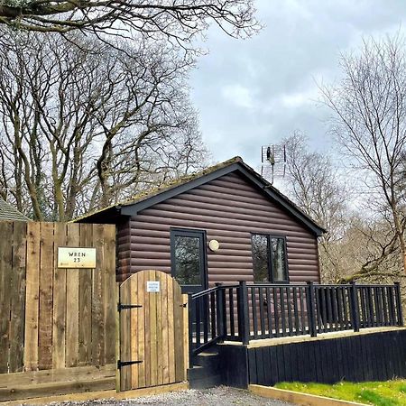 Wren 23-Hot Tub-Woodland Lodges-Tenby-Pembroke Carmarthen Exterior photo